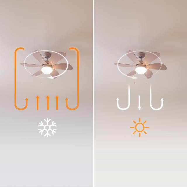 EnergySile Aero 3600 Vision Full Purple Ventilatore da soffitto, 50 W e 36” con lampada, 3 velocità, 6 pale reversibili, modalità winter-summer con uso facile.
